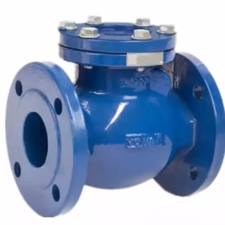 Cast iron check valve PN 16